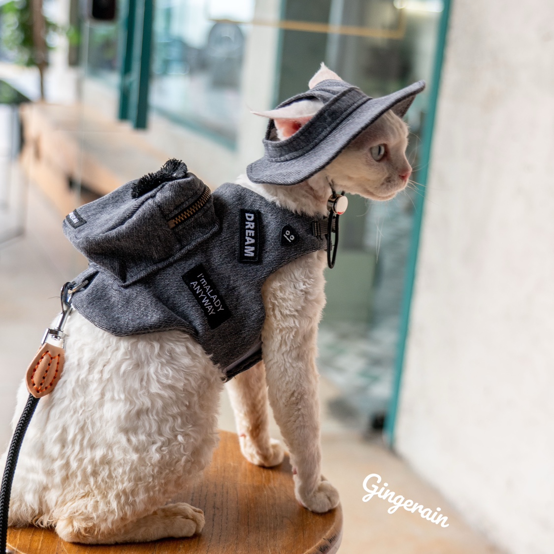 手作りの猫のトラベルキャリア,黒いスナックバッグ,かわいいペ - Luxury Bags Cute のレビューと価格