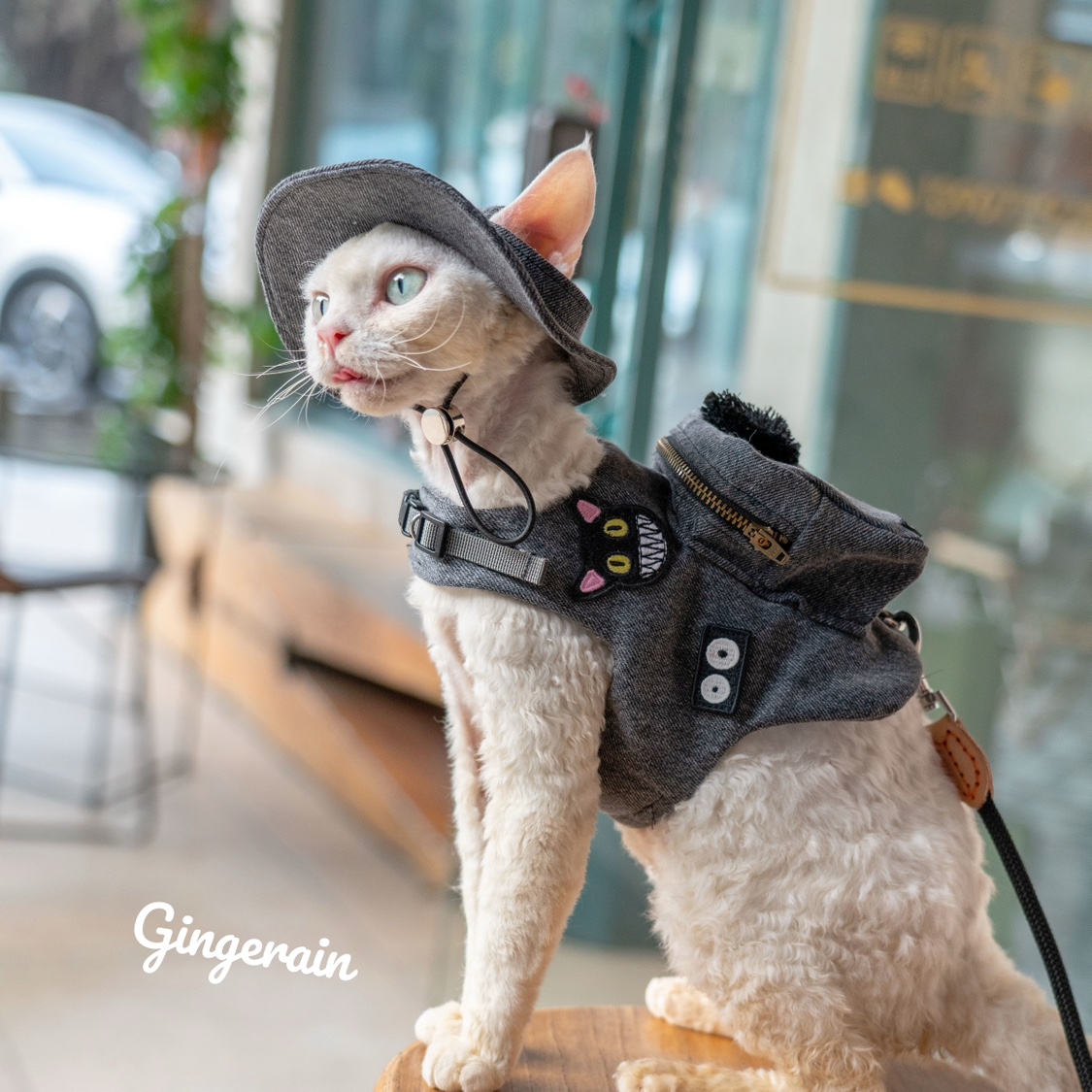 手作りの猫のトラベルキャリア,黒いスナックバッグ,かわいいペ - Luxury Bags Cute のレビューと価格